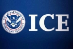 ICE arrests, ICE arrests, us 129 indians among 130 students arrested in pay to stay immigration fraud, Immigration lawyer