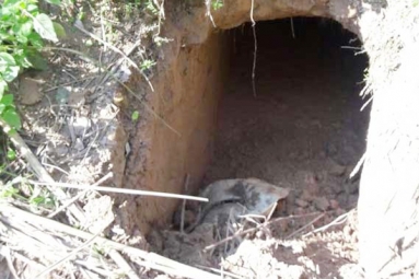 BSF found 20 meter tunnel from Pakistan in Sambha J&amp;K