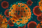 Coronavirus India, Coronavirus India tally, 37 875 new coronavirus cases reported in india, Union health ministry Coronavirus India, Coronavirus India tally, 37 875 new coronavirus cases reported in india, Union health ministry