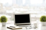 office, plants, a plant in your office can help in preventing sick days says experts, Sick days