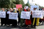 Afghan protests latest, Afghan protests videos, afghans protest against pakistan taliban open fire, Kabul