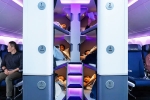 Air New Zealand Bunk Beds 2026, Air New Zealand Bunk Beds 2026, air new zealand introduces bunk beds in economy flights, Nikhil