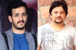 Akhil Akkineni fifth film, Akhil Akkineni fifth film, akhil akkineni and surendar reddy joins hands, Coronavirus lockdown