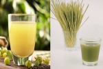Amla Juice Vs Wheatgrass Juice health update, Amla Juice Vs Wheatgrass Juice, amla juice vs wheatgrass juice for fatty liver, Liver health