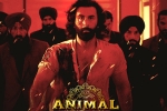 Animal breaking updates, Animal Filmfare, record breaking nominations for animal, Jaan