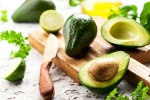 Avocado tips, Avocado uses, add avocado in your diet to lose weight, Avocados