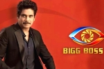 Star MAA, Bigg Boss 5 Telugu, bigg boss 5 to commence from september 5th, Star maa