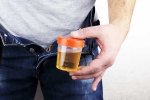 Hidden Kidney Cancer Risks breaking, Hidden Kidney Cancer Risks latest, spotting blood in urine can reveal hidden kidney cancer risks, Cancer risks