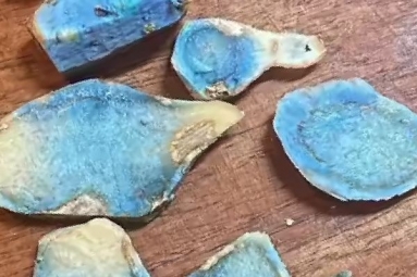 Blue Turmeric and its Health Benefits Blue Turmeric and its Health Benefits