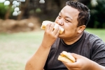 Bread, Bread for weightloss tips, will bread help in weightloss, Lose weight