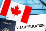 Canada's study visa approvals, Canada's study visa approvals Indian students, canada s study visa approvals for indian students to drop by 50 in 2024, Indian origin