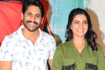 Naga Chaitanya news, Naga Chaitanya, naga chaitanya and samantha to work together again, Majili