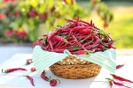 chili peppers, diet and fitness, chili peppers help burn away the fat, Chilli sauce