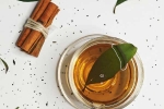 Cinnamon Water for heart, Cinnamon Water heart diseases, can cinnamon water manage heart diseases, Heart disease