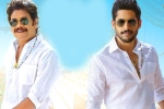 Bangarraju expectations, Kalyan Krishna, ten days worldwide collections of bangarraju, Kalyan krishna