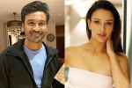 Triptii Dimri next movie, Triptii Dimri breaking, dhanush to romance animal actress triptii dimri, Angry