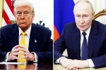 Donald Trump and Vladimir Putin meeting, Donald Trump and Vladimir Putin crucial meeting, all about donald trump and vladimir putin s call, Vladimir putin