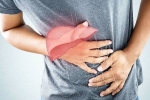 Liver Disease latest, Liver Disease, here are early signs of liver disease you should not ignore, Smoking