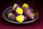 Sweet Potato for health, Sweet Potato experts, what happens if you eat sweet potato everyday, Purpl
