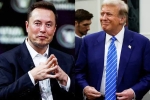 Elon Musk and Donald Trump latest, Elon Musk and Donald Trump budget, elon musk s big bet on donald trump, Nelson