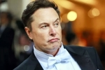 Elon Musk, Elon Musk India visit delayed, elon musk s india visit delayed, Goa