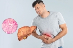 Fatty Liver symptoms, Fatty Liver 2025, fatty liver can be reversed in just one month, Ama