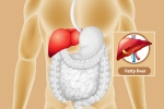 Fatty Liver health, Fatty Liver tips, dangers of fatty liver, Lifestyle