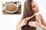 Flaxseeds latest breaking, Flaxseeds latest breaking, how flaxseeds can help for a long and healthy hair, Yo yo diets