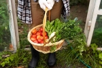 Fruits and Veggies growth, Fruits and Veggies homemade, fruits and veggies that are easy to grow at home, Condiment