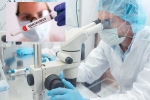 Hantavirus Scientists breaking, Hantavirus, hantavirus scientists were close to vaccine, Covid 19