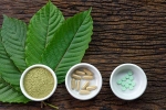 health and fitness, herbal supplements, this pain treating herbal supplement is not safe for use, Disorders care