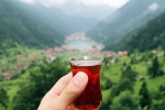 International Tea Day facts, International Tea Day breaking, international tea day 2025 facts and significance, Japan