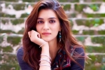 Covid-19 Positive, Covid-19 Positive, kriti sanon tested positive for covid 19, Actress kriti sanon