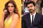 Kriti Sanon next film, Kriti Sanon new movie, kriti sanon to romance vijay in his next, 1 nenokkadine