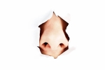 covid-19, coronavirus, loss of smell could be an underlying sign of coronavirus new study suggests, British doctor