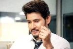 Mahesh Babu next film, Mahesh Babu latest updates, mahesh babu and parasuram s project is a political satire, Satire