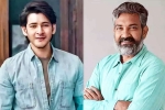 Mahesh Babu and Rajamouli Film breaking, Mahesh Babu and Rajamouli Film updates, interesting updates about mahesh babu and rajamouli film, Novels