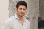 Mahesh Babu latest, Mahesh Babu, mahesh s new year gift for his fans, Spyder