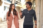 Manmadhudu 2 telugu movie review, Manmadhudu 2 telugu movie review, manmadhudu 2 movie review rating story cast and crew, Playboy