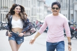 Manmadhudu 2 news, Manmadhudu 2 trailer, manmadhudu 2 trailer is packed with entertainment, Manmadhudu 2