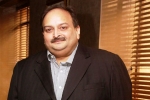 Mehul choksi surrenders Indian passport, mehul choksi company, mehul choksi surrenders his indian passport to antigua authorities, Pnb