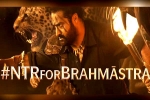 Brahmastra Telugu event, Brahmastra and NTR, ntr turns chief guest for brahmastra event, Brahmastra event