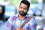 Kalyanram, NTR latest, official ntr s next film locked, Sardar gabbar singh