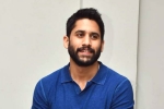 Naga Chaitanya breaking news, Naga Chaitanya breaking news, change of plans for naga chaitanya, Suresh babu