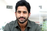 Naga Chaitanya interview, Naga Chaitanya about Bangarraju, naga chaitanya coming up with a strong lineup of films, Vijay kanakamedala