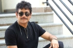 Nagarjuna new movie, Nagarjuna updates, nagarjuna s 100th film locked, Bangarraju