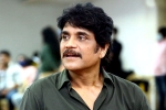 Nagarjuna periodic film, Sreenivasaa Chitturi, nagarjuna in a periodic drama, Disney plus hotstar