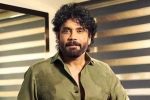 Nagarjuna Personal Rights breaking, Nagarjuna Personal Rights Delhi Court, delhi high on nagarjuna s personal rights, Aishwarya