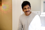 najarjuna’s top movies, nagarjuna birthday, nagarjuna turns 60 5 movies of forever young star you shouldn t miss, Manmadhudu 2