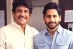 Naga Chaitanya, Nagarjuna latest, nagarjuna s clarification on naga chaitanya s divorce, Nagarjuna akkineni